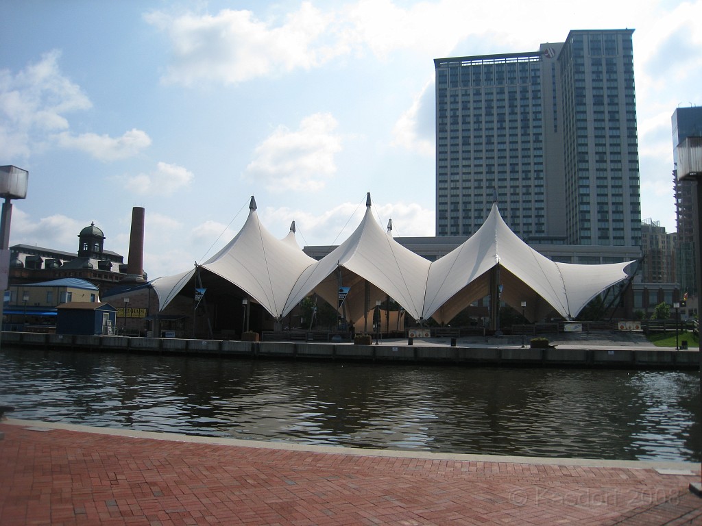 Baltimore MD 2009 0090.jpg - A 4th of July trip to Washington DC in 2009 included a stop in Baltimore MD to see the National Aquarium.